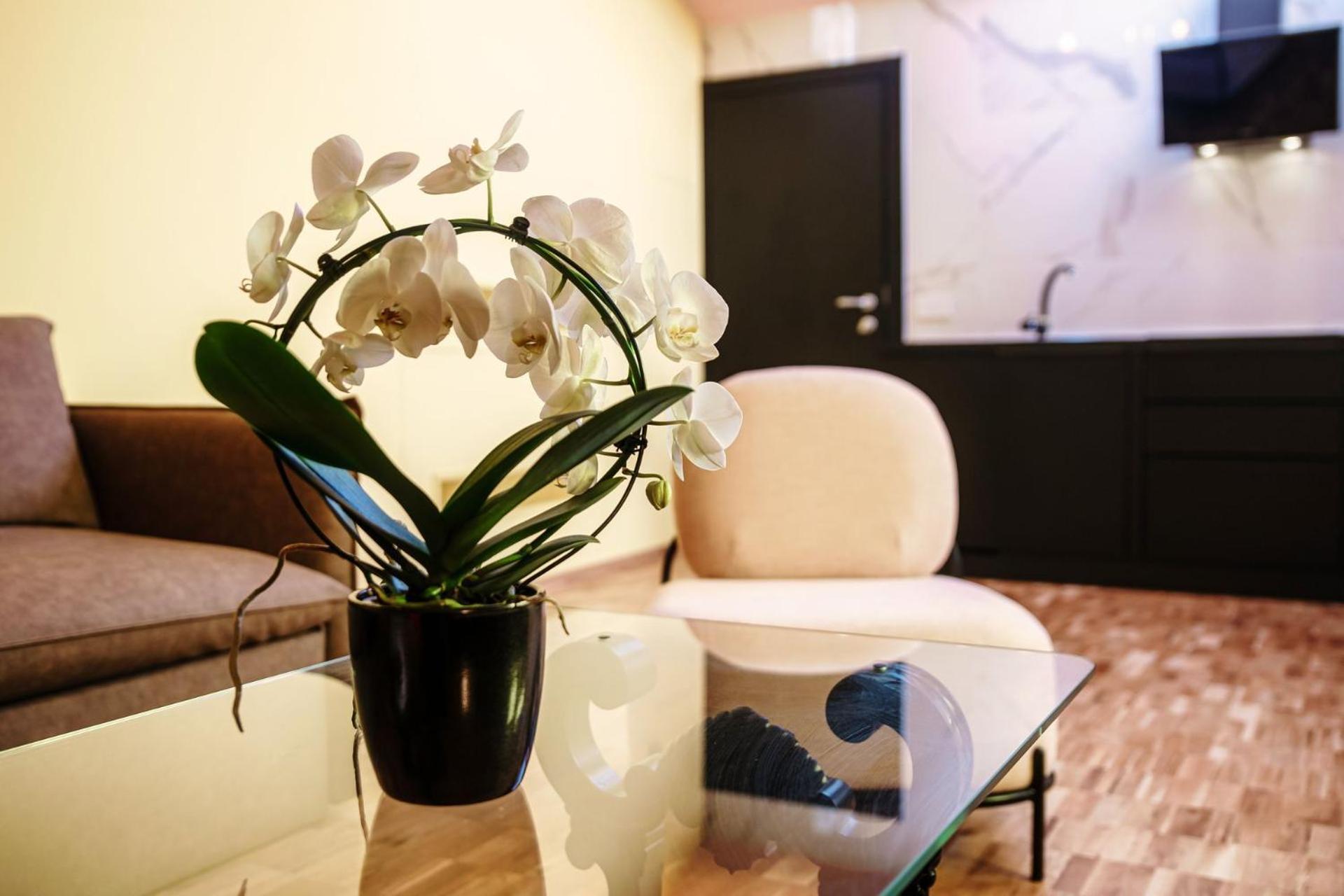 Aurum - Luxury Gasthof